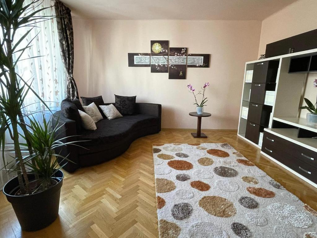 Winterland Sf.Ioan Apartment Brașov Exterior foto